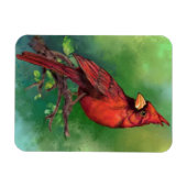 Magnet des nördlichen Roten Kardinals (Horizontal)