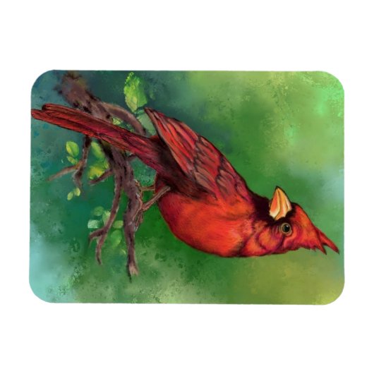 Magnet des nördlichen Roten Kardinals (Horizontal)