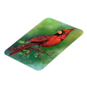 Magnet des nördlichen Roten Kardinals (Linke Seite)