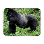 Magnet des Silverback Gorilla-Fotos (Horizontal)
