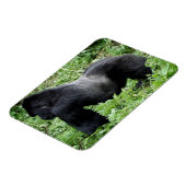 Magnet des Silverback Gorilla-Fotos (Linke Seite)