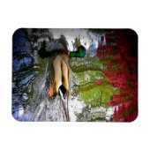 Magnet-Design der Mallard-Ente 2 Magnet (Horizontal)