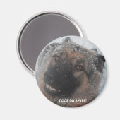 Magnet deutscher Hirte im Schnee lächelnd (Vorderseite/Rückseite)
