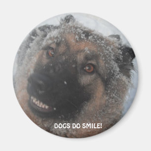 Magnet deutscher Hirte im Schnee lächelnd