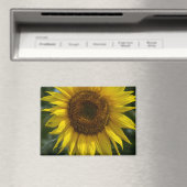 Magnet - Die gelbe Sonnenblume  (In Situ (Geschirrspüler))
