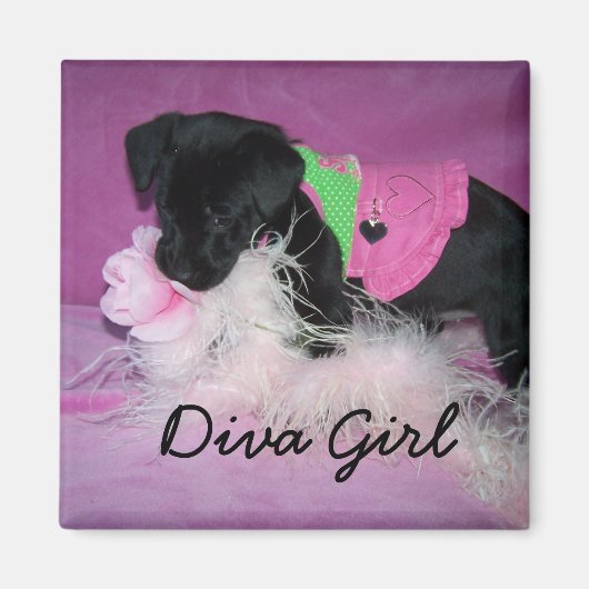 Magnet, Diva Girl Magnet (Vorne)