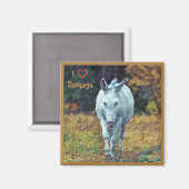 Magnet Donkey 01 (Vorderseite/Rückseite)