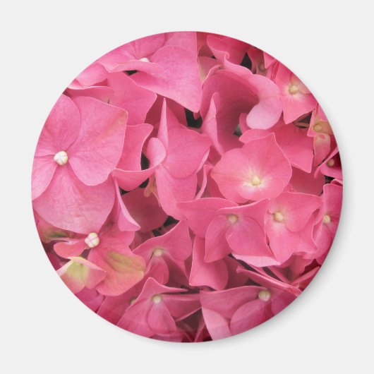 Magnet - Dunkelrosa Hydrangea (Vorne)