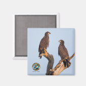 Magnet E12 und E13 (Vorderseite/Rückseite)