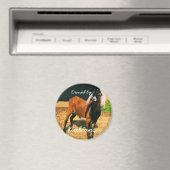 Magnet - Eigentum der Nubier! (In Situ (Geschirrspüler))