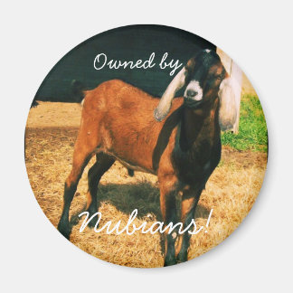 Magnet - Eigentum der Nubier!