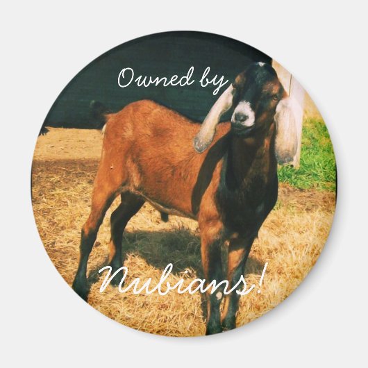 Magnet - Eigentum der Nubier! (Vorne)