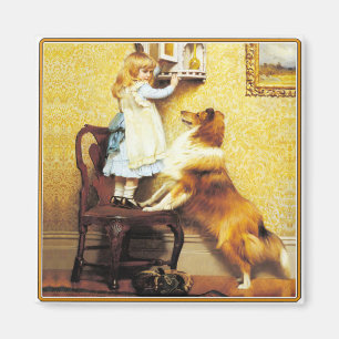 Magnet: Ein spezieller Pleader Magnet