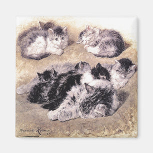Magnet: Eine Studie über Katzen Magnet
