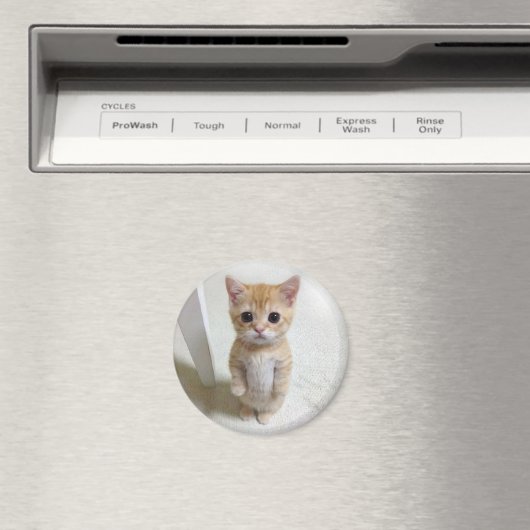 Magnet El Gato Cat Meme (In Situ (Geschirrspüler))