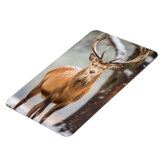 Magnet-Elk Magnet (Linke Seite)