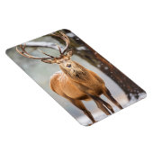 Magnet-Elk Magnet (Rechte Seite)