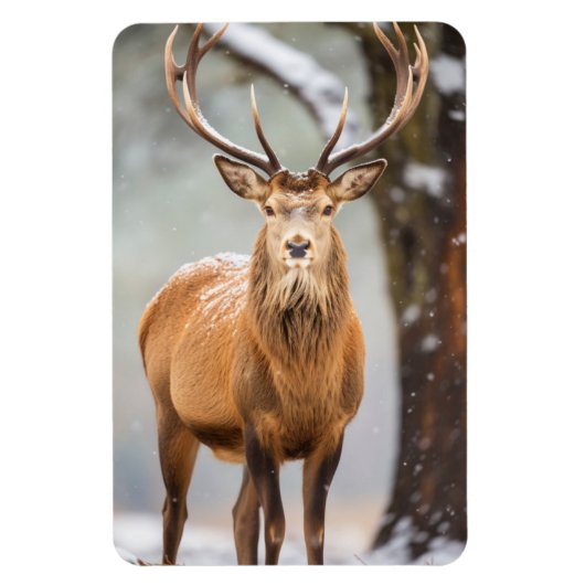 Magnet-Elk Magnet (Vertikal)