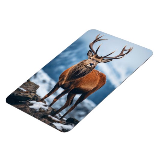 Magnet-Elk Magnet (Linke Seite)