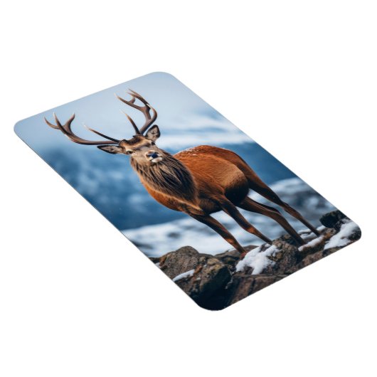 Magnet-Elk Magnet (Rechte Seite)