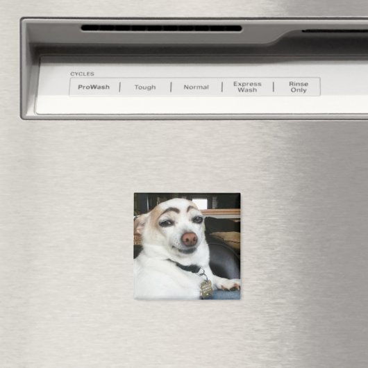 Magnet Eyebrow Dog Meme (In Situ (Geschirrspüler))