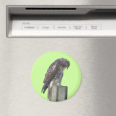 Magnet - Falcon (In Situ (Geschirrspüler))