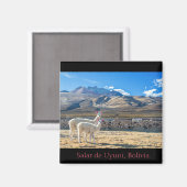 Magnet, Flammen, Bolivien von Uyuni Salzen, Magnet (Vorderseite/Rückseite)