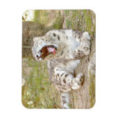 Magnet flexible Foto Katze Schneeleopard , Tiere. (Vertikal)