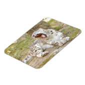 Magnet flexible Foto Katze Schneeleopard , Tiere. (Linke Seite)
