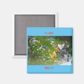 Magnet Flying (Vorderseite/Rückseite)