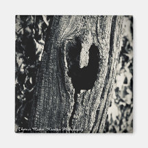 Magnet "Folge deinem Herzen"