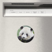 Magnet Foto Riesenpanda , Tiere 0241. (In Situ (Geschirrspüler))