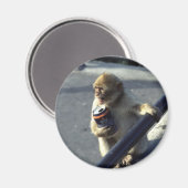 Magnet für Affengetränke (Vorderseite/Rückseite)