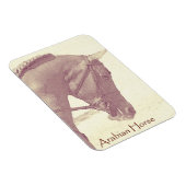 Magnet für Arabien (Rechte Seite)