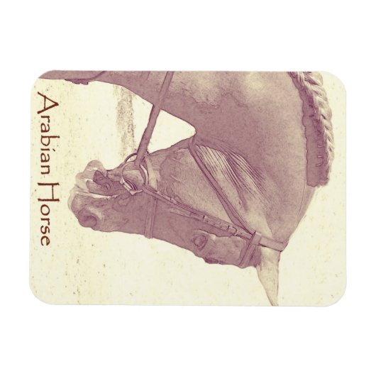 Magnet für Arabien (Horizontal)