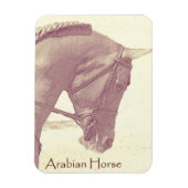 Magnet für Arabien (Vertikal)