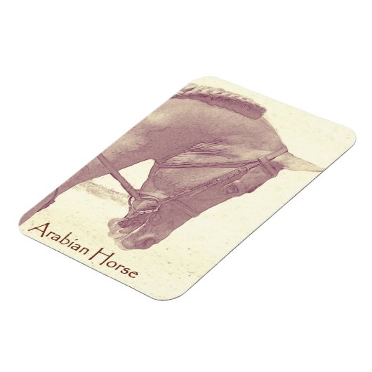 Magnet für Arabien (Linke Seite)