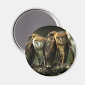 Magnet für Barn Owls (Vorderseite/Rückseite)