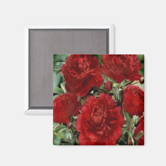 Magnet für Blume (Vorderseite/Rückseite)