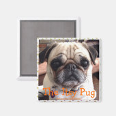 Magnet für Bumblesnot: Der Itsy-Mops (Vorderseite/Rückseite)