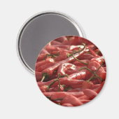 Magnet für den roten heißen Chili (Vorderseite/Rückseite)