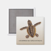 Magnet für den Rücken der Meeresschildkröte (Vorderseite/Rückseite)
