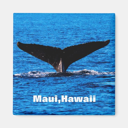 Magnet für den Schwanz des benutzerdefinierten Mau (Vorne)