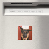 Magnet für deutsche Hirten 2 (In Situ (Geschirrspüler))