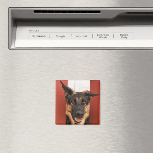 Magnet für deutsche Hirten 2 (In Situ (Geschirrspüler))