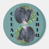 Magnet für die Bruderschaft Collie (Vorne)