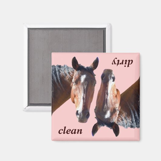 Magnet für die Geschirrspülmaschine des amerikanis (Vorderseite/Rückseite)