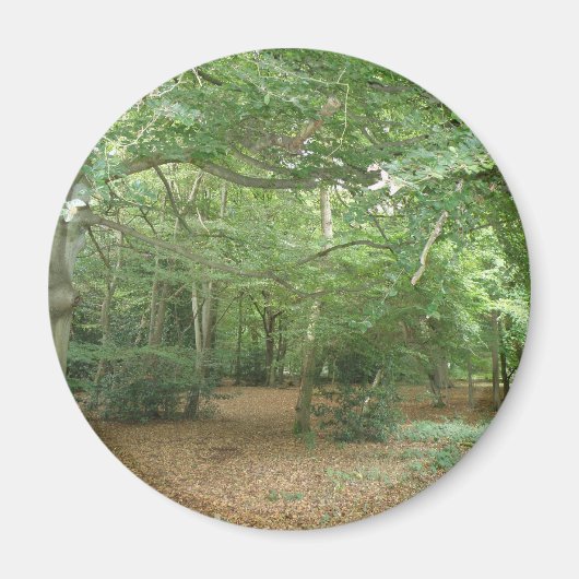 Magnet für die Holzaufbereitung (Vorne)