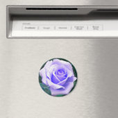 Magnet für die Rose von Blasslavender (In Situ (Geschirrspüler))