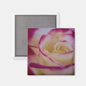 Magnet für doppelte Rose (Vorderseite/Rückseite)